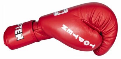 Guante de Boxeo TOP TEN "COMPETITION"