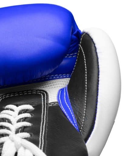 Guante de boxeo "PRO X" TOPTEN