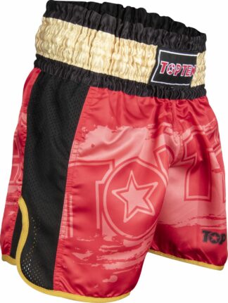 Pantalon corto Kickboxing TOP TEN "Power Ink"