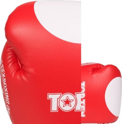 Guantes de boxeo TOP TEN “WAKO GT” 10oz